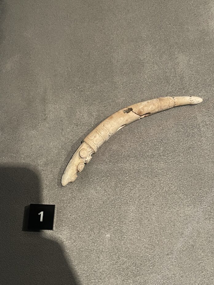 Ultima zi pentru vizitarea expoziției „Fragmentar”, la Muzeul Județean Buzău