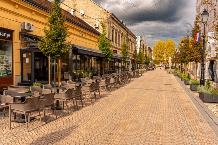 Controale în restaurante și terase din Buzău: amenzi de 257.500 de lei pentru nereguli alimentare