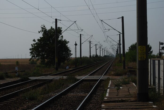 Un urs a fost observat pe o stradă din Stâlpu. Localnicii au primit mesaj RO-ALERT