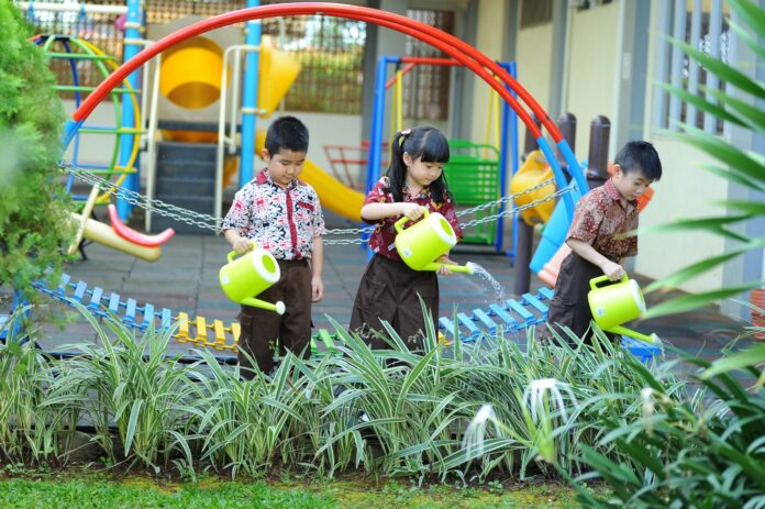 Două eleve din Buzău vor să transforme curtea Colegiului Pedagogic într-o grădină interactivă