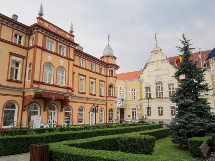 Primăria Nehoiu scoate la licitație aproape 958 de metri cubi de masă lemnoasă