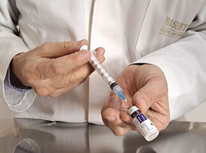 Primăria Vernești anunță vaccinare și microcipare gratuită pentru câini