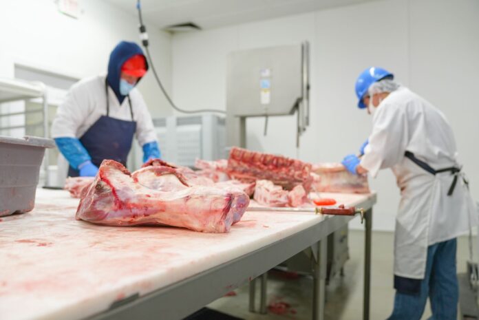 DSV Buzău a raportat 21 de alerte pentru Salmonella în primele opt luni ale anului